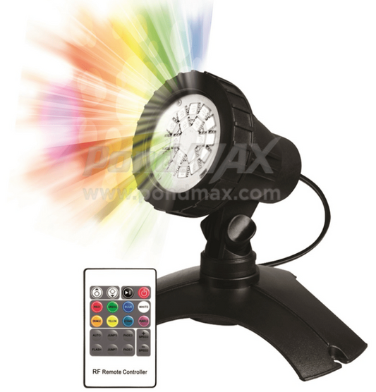 Large Color Changing LED Starter Light